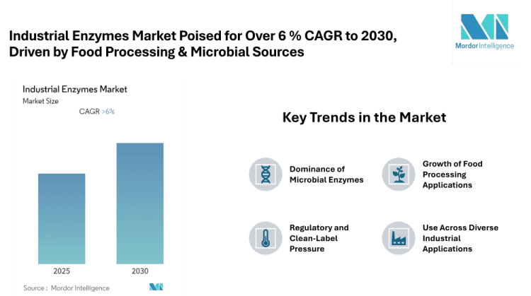 Industrial Enzymes Market Poised for Over 6 % CAGR to 2030, North America Largest, Asia-Pacific Fastest Growing, Driven by Food Processing & Microbial Sources