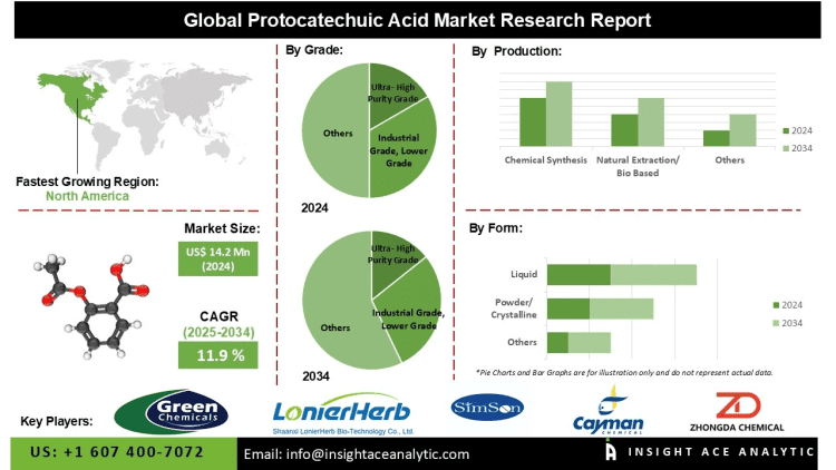 Protocatechuic Acid Market Opportunities Shaped by Growth in Pharmaceutical and Personal Care Industries
