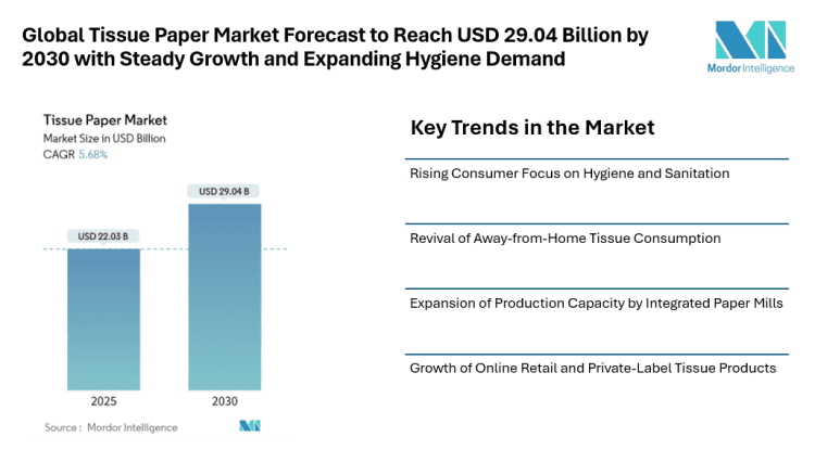 Tissue Paper Market Forecast to Reach USD 29.04 Billion by 2030 with Steady Growth and Expanding Hygiene Demand