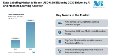 Data Labeling Market to Reach USD 6.98 Billion by 2030 Driven by AI and Machine Learning Adoption
