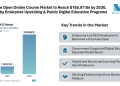 Massive Open Online Course Market to Reach $165.87 Bn by 2030, Driven by Enterprise Upskilling & Public Digital Education Programs
