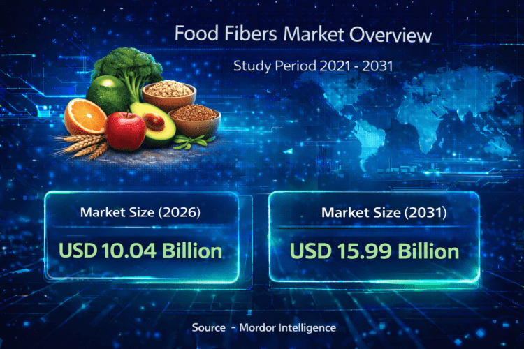 Food Fibers Market Size to Reach USD 15.99 Billion by 2031 | Key Trends and Growth Insights