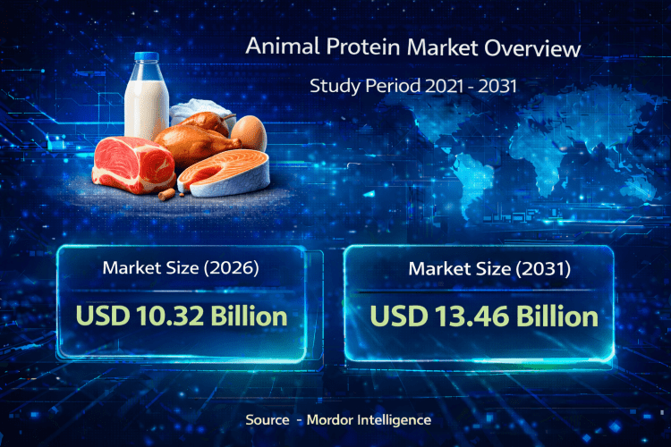 Animal Protein Market Size to Reach USD 13.46 Billion by 2031 – Mordor Intelligence