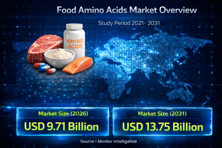 Food Amino Acids Market Size to Reach USD 13.75 Billion by 2031: Growth Driven by Functional Nutrition and Plant-Based Demand