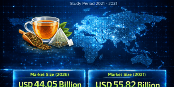 North America Tea Market Growth Trends: Achieving USD 55.82 Billion by 2031 at 4.85% CAGR